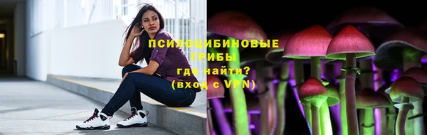 МДПВ Арсеньев