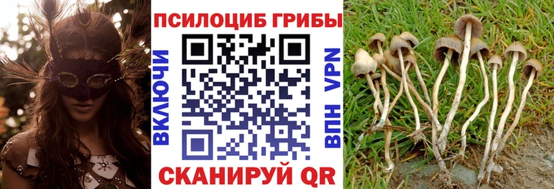 Галлюциногенные грибы Psilocybe  Купить закладки  Спасск-Рязанский 